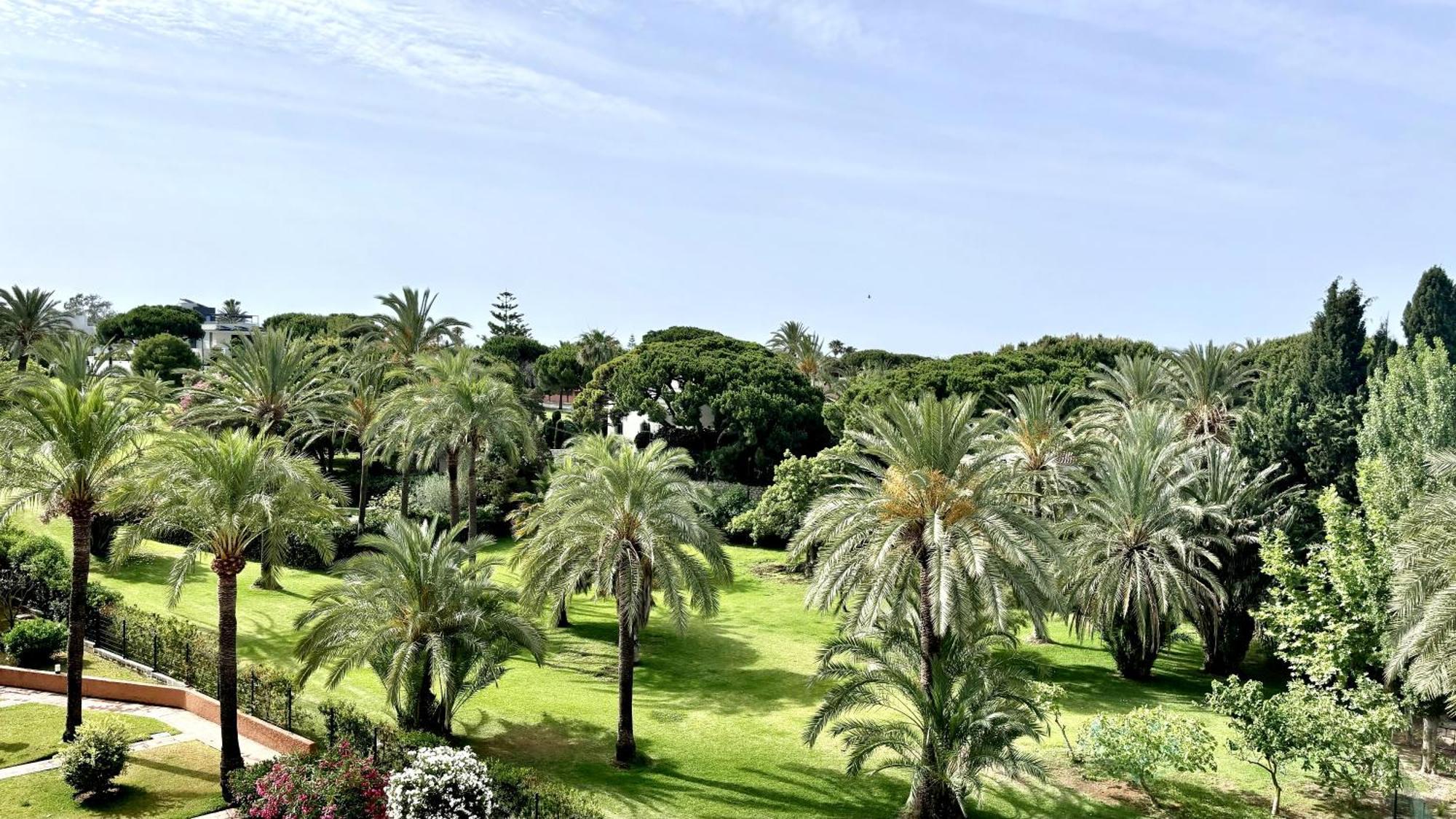 Estudio Panoramico En